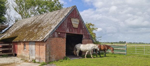 11 rooms Farm in Steinburg, Germany No. 346401 22