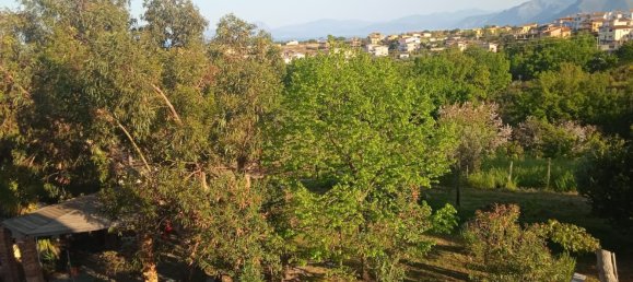 1000m² Building in San Nicola Arcella, Italy No. 152131 5