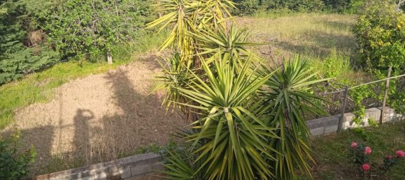 1000m² Building in San Nicola Arcella, Italy No. 152131 24