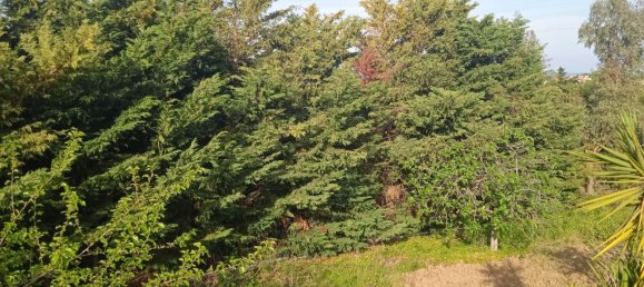 1000m² Building in San Nicola Arcella, Italy No. 152131 25