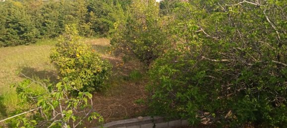 1000m² Building in San Nicola Arcella, Italy No. 152131 4