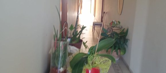 1000m² Building in San Nicola Arcella, Italy No. 152131 13