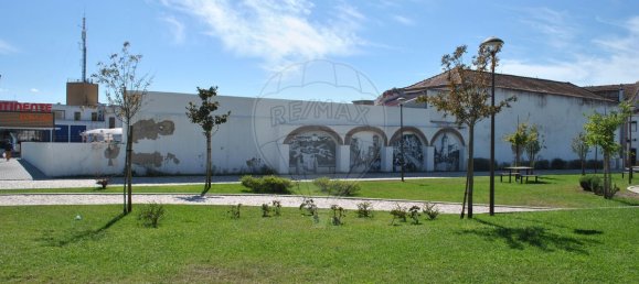 Casa T7 em Alpiarça, Portugal N.º 168803 7