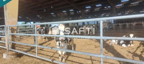 74900m² Commercial property in Saint-Loup-Geanges, France No. 358650 4