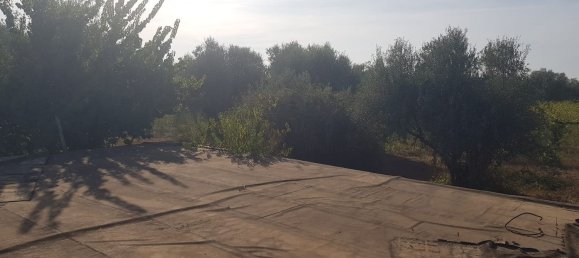 Grundstück in Ciampino, Italy 6000m², Nr. 114953 6