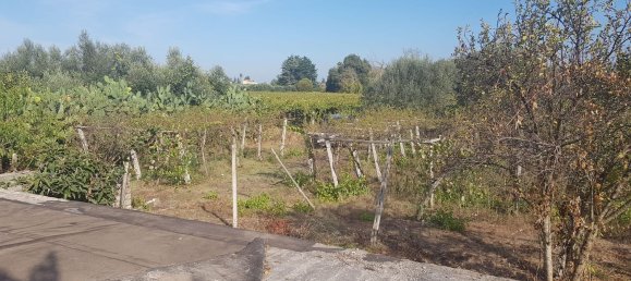 Grundstück in Ciampino, Italy 6000m², Nr. 114953 7