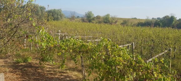 Grundstück in Ciampino, Italy 6000m², Nr. 114953 4