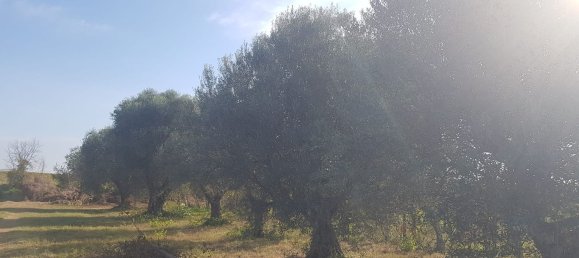 Grundstück in Ciampino, Italy 6000m², Nr. 114953 3