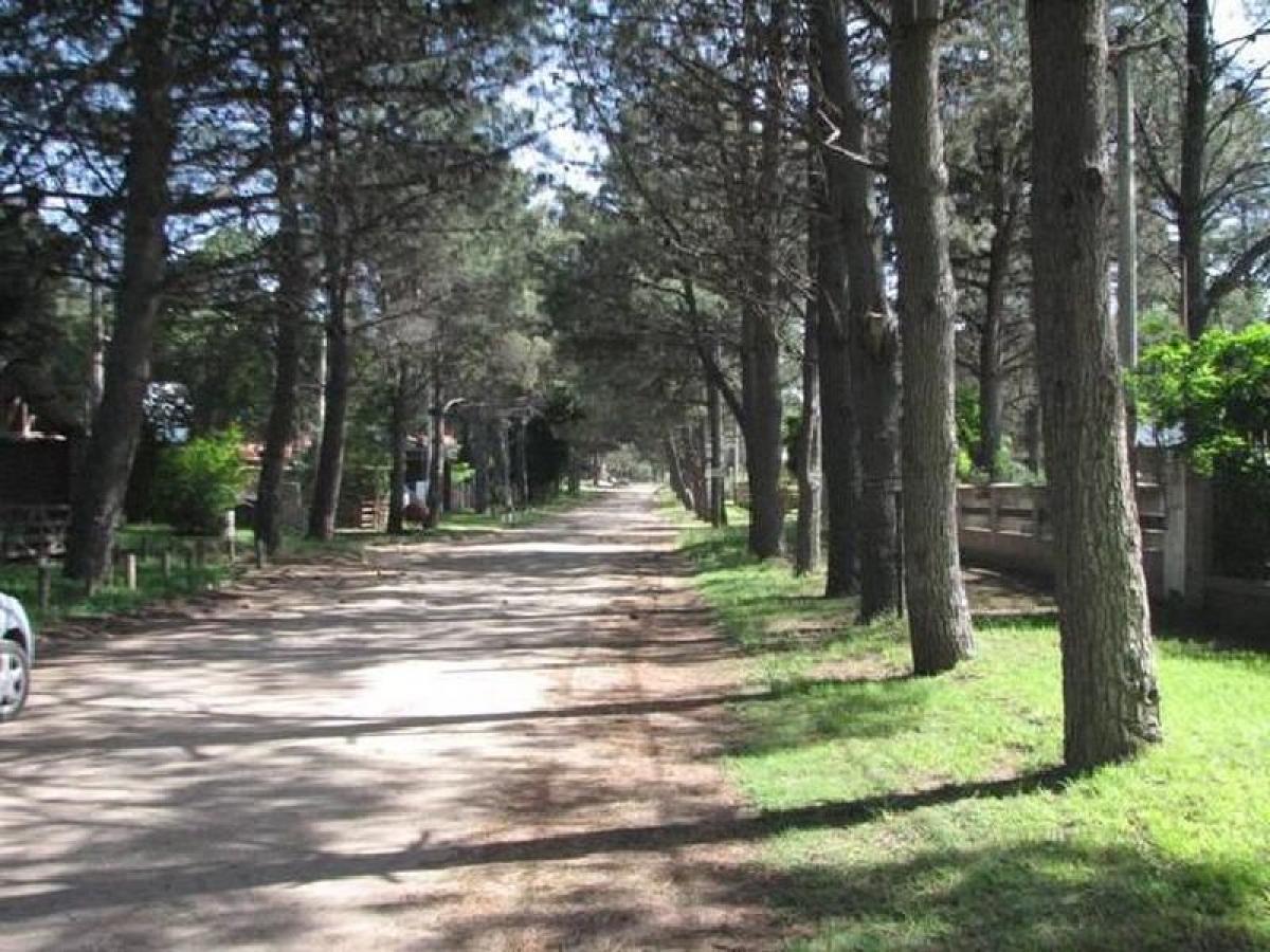  قطعة أرض في Mar del Plata, Argentina رقم 119737