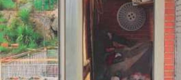 3-salle Appartement à Manziana, Italy No. 24308 16