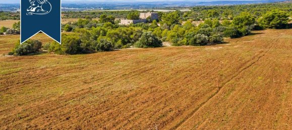 12 Schlafzimmer Haus in Massafra, Italy, Nr. 87946 33