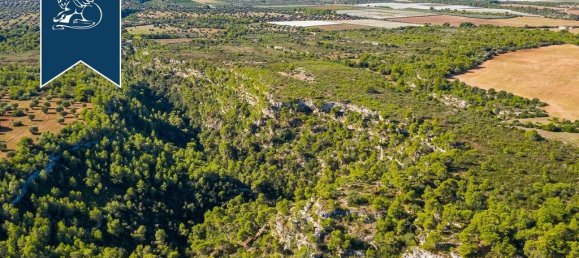 12 Schlafzimmer Haus in Massafra, Italy, Nr. 87946 39