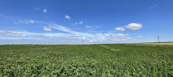 Земельный участок в Мосбрунн, Австрия № 253753 3