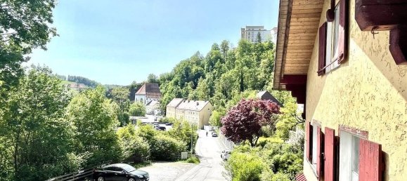 3 غرف نوم منزل في Passau, Germany رقم 41216 10