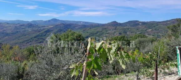 2 Schlafzimmer Haus in Schiavi di Abruzzo, Italy, Nr. 350042 15