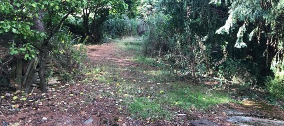 3 rooms House in Sanremo, Italy No. 93826 36