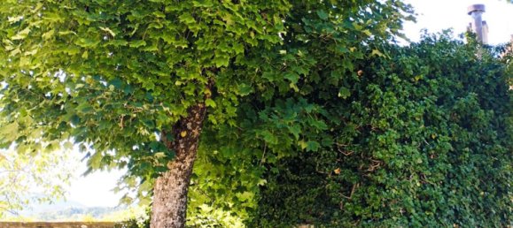 8 rooms Villa in Monghidoro, Italy No. 169425 48