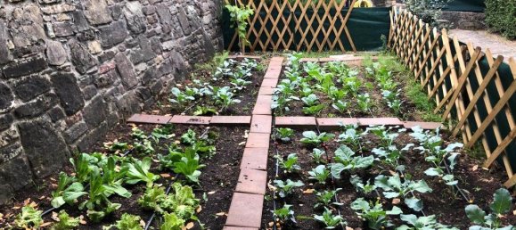 3 bedrooms Villa in Gazzola, Italy No. 218329 4