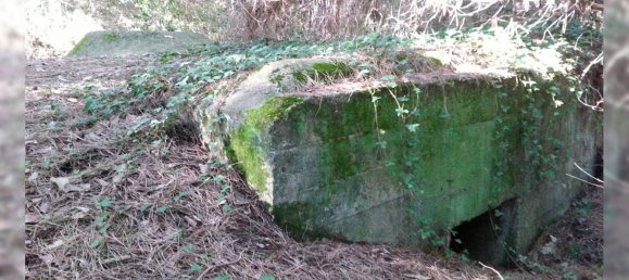 3-salle Appartement à Rosignano Marittimo, Italy No. 48447 21