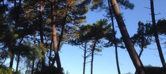 3-salle Appartement à Rosignano Marittimo, Italy No. 48447 18