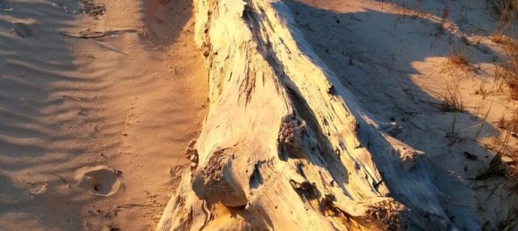 3-salle Appartement à Rosignano Marittimo, Italy No. 48447 24