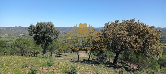 1680000m² Land in Sao Bartolomeu de Messines, Portugal No. 10254 10