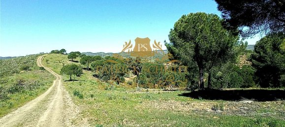 1680000m² Land in Sao Bartolomeu de Messines, Portugal No. 10254 9