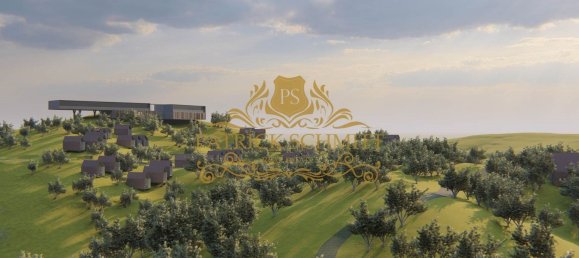 1680000m² Land in Sao Bartolomeu de Messines, Portugal No. 10254 4