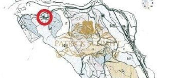 1680000m² Land in Sao Bartolomeu de Messines, Portugal No. 10254 17