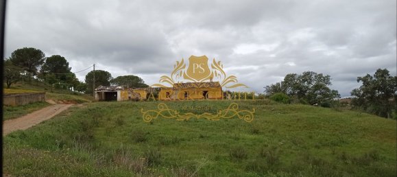 1680000m² Land in Sao Bartolomeu de Messines, Portugal No. 10254 12