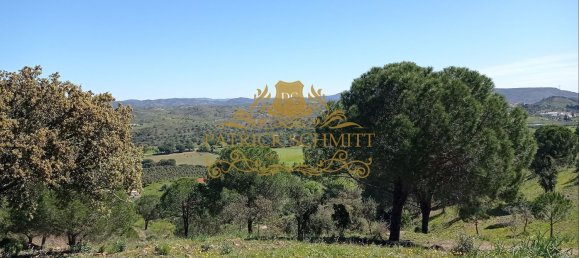 1680000m² Land in Sao Bartolomeu de Messines, Portugal No. 10254 11