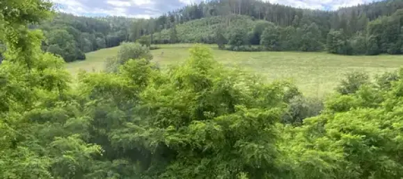 Quinta de 13 divisões em Saale-Orla, Germany N.º 178879 22