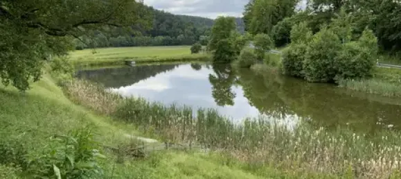 Quinta de 13 divisões em Saale-Orla, Germany N.º 178879 25