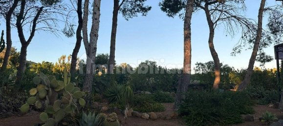 Villa de 2 dormitorios en Ustica, Italy No. 280970 47