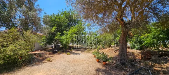 Casa T3 em Silves, Portugal N.º 61531 2