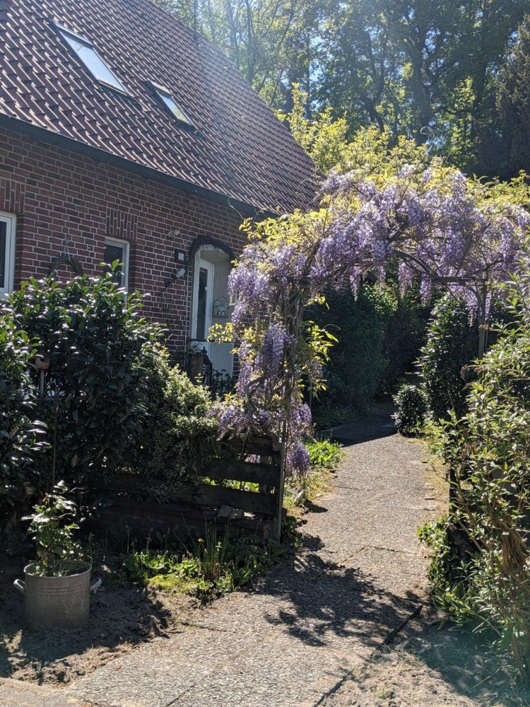 6-Zimmer Haus in Stade, Germany, Nr. 242220