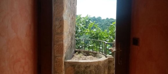 7-Zimmer Doppelhaus in Pitigliano, Italy, Nr. 176299 3