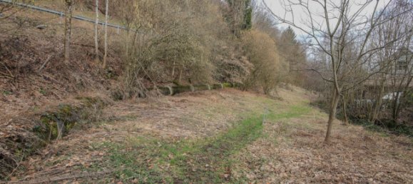 Armazém T5 em Waldshut, Germany N.º 34273 11