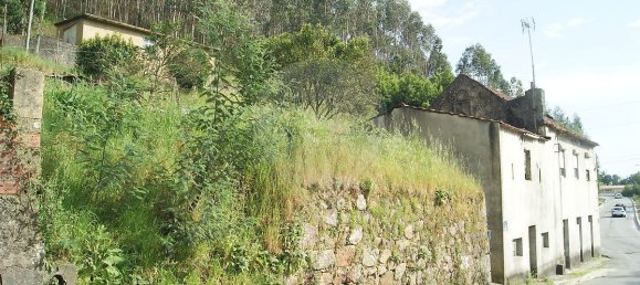7 Schlafzimmer Haus in Oliveira de Azemeis, Portugal, Nr. 188246 7