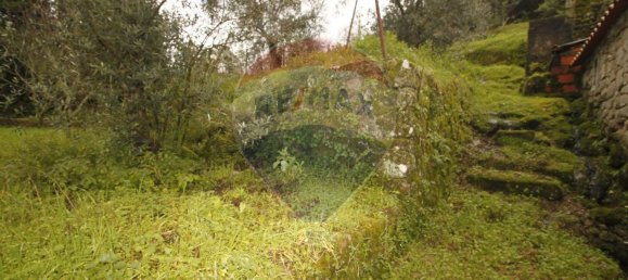 8 Schlafzimmer Haus in Aldeia das Dez, Portugal, Nr. 16596 3