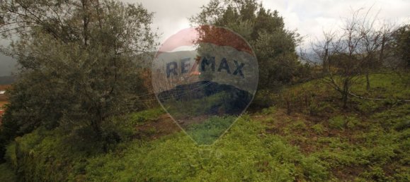 8 Schlafzimmer Haus in Aldeia das Dez, Portugal, Nr. 16596 4