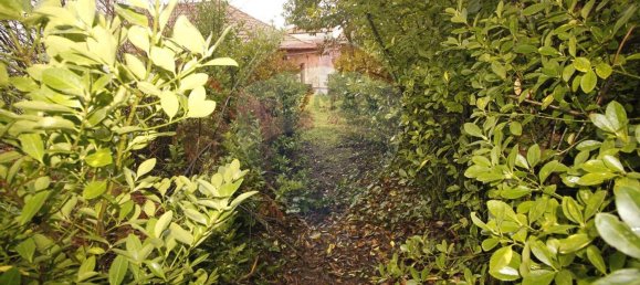 8 Schlafzimmer Haus in Aldeia das Dez, Portugal, Nr. 16596 5