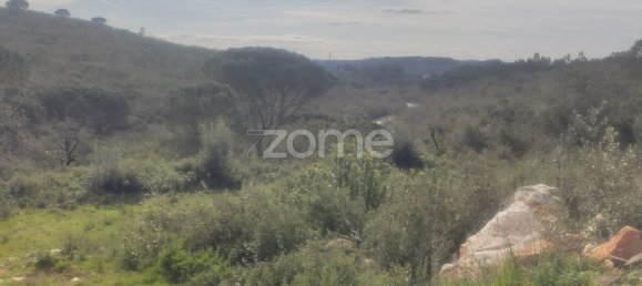 1000m² Land in Ansiao, Portugal No. 86062 5