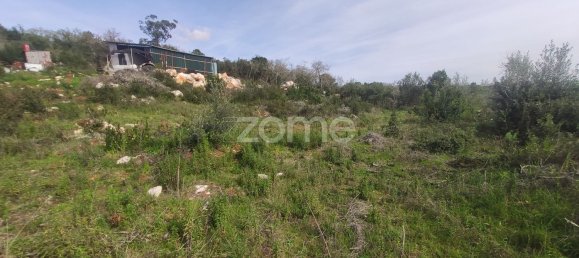 1000m² Land in Ansiao, Portugal No. 86062 2