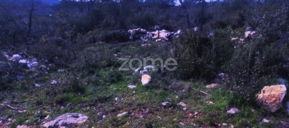 1000m² Land in Ansiao, Portugal No. 86062 6