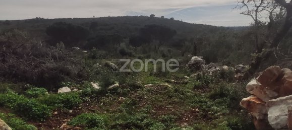 1000m² Land in Ansiao, Portugal No. 86062 8