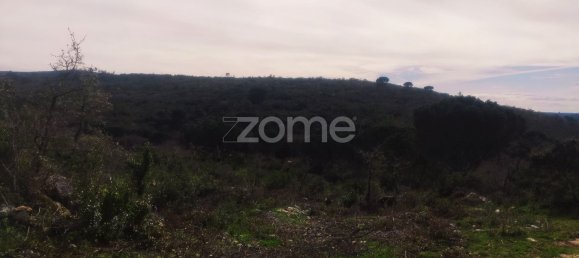 1000m² Land in Ansiao, Portugal No. 86062 11