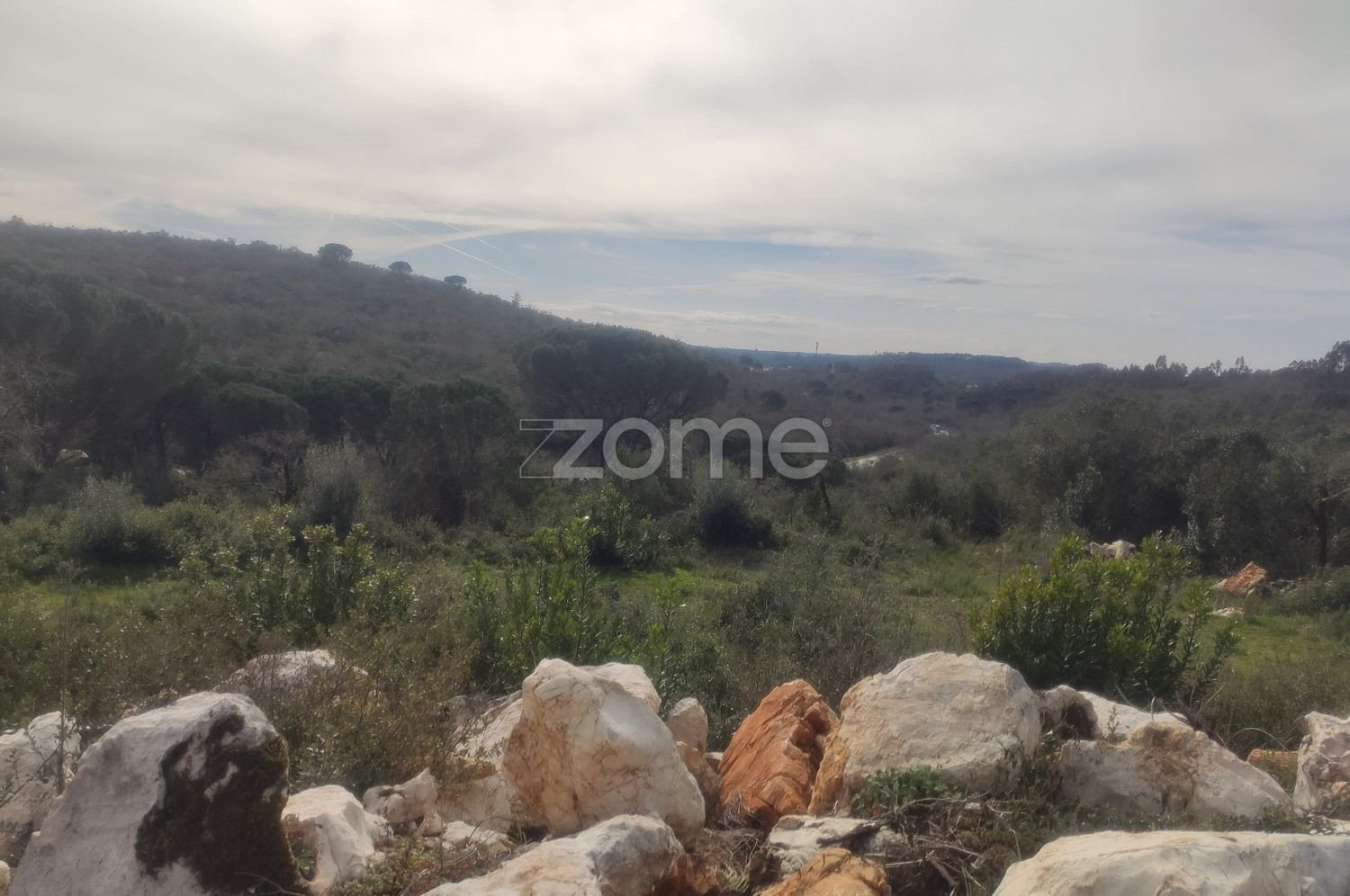 1000m² Land in Ansiao, Portugal No. 86062