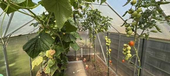 4 rooms Bungalow in Hanover, Germany No. 321125 34