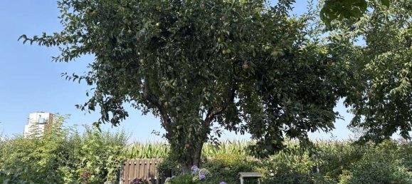 4 rooms Bungalow in Hanover, Germany No. 321125 32